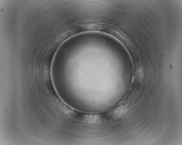 X0000068310469200604211208