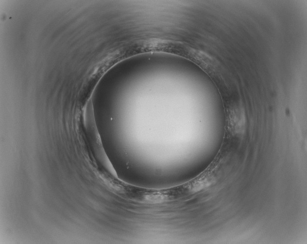 X0000068310470200604211209