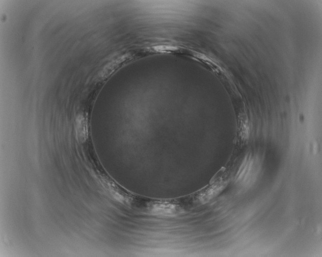 X0000068310471200604211209