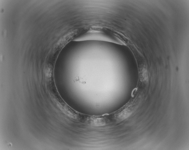 X0000068310472200604211209