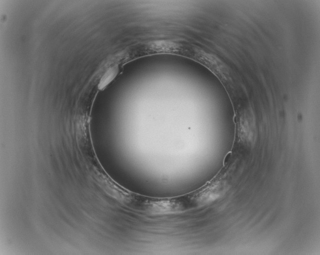 X0000068310473200604211209