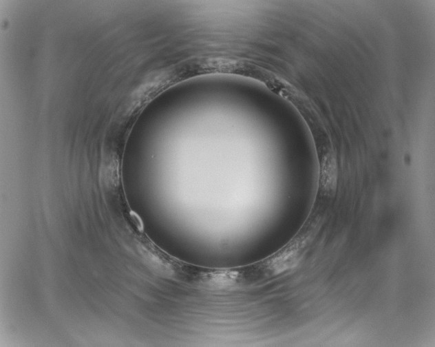 X0000068310474200604211209