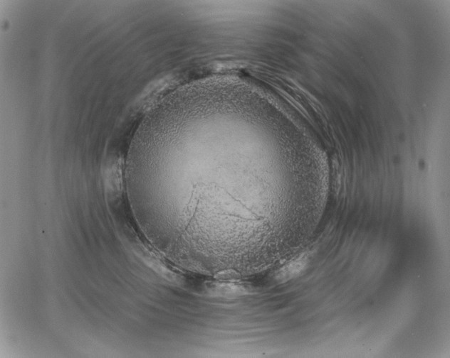 X0000068310475200604211209