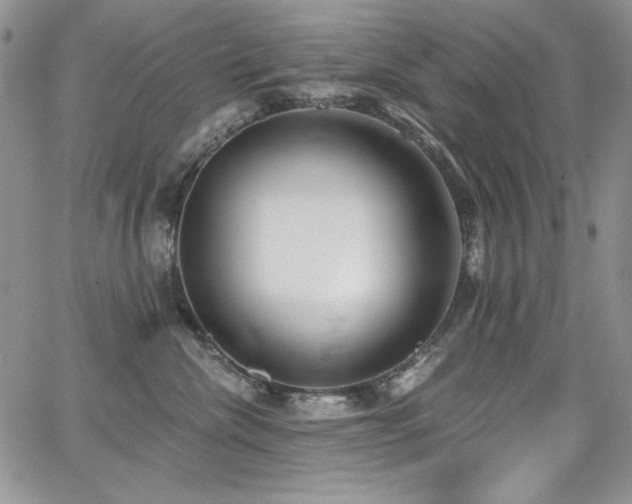 X0000068310476200604211209