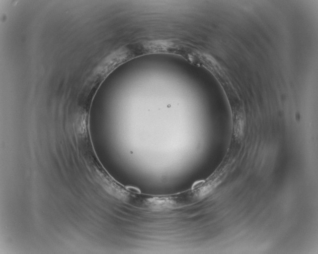 X0000068310477200604211209