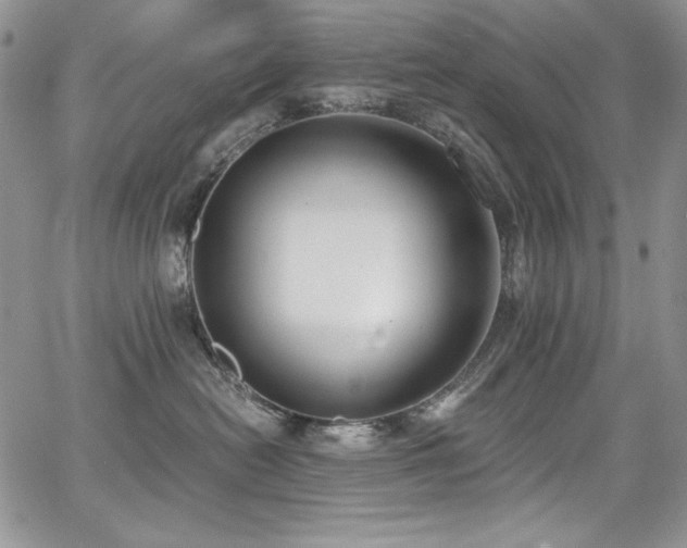 X0000068310478200604211209