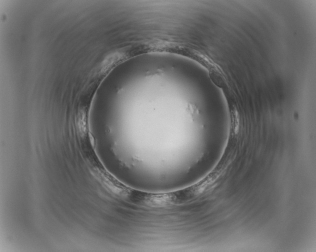 X0000068310479200604211209