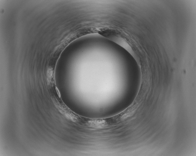 X0000068310480200604211209