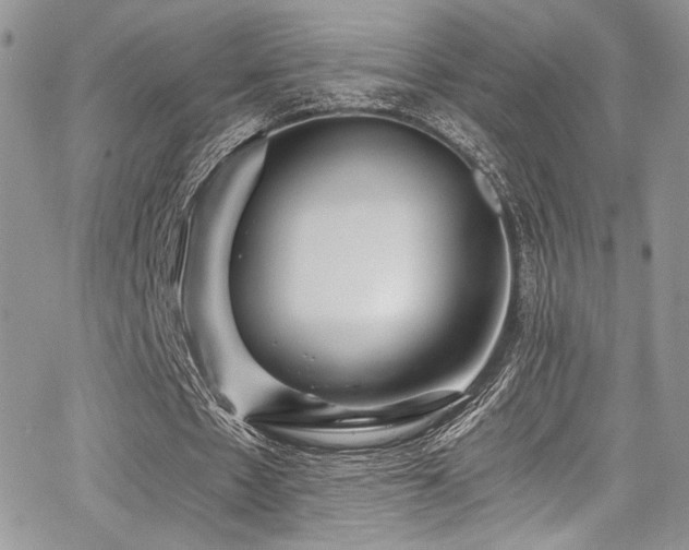 X0000068310481200604211208