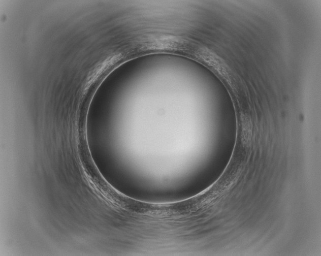 X0000068310482200604211208