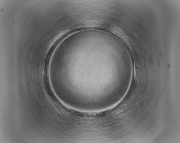 X0000068310483200604211208