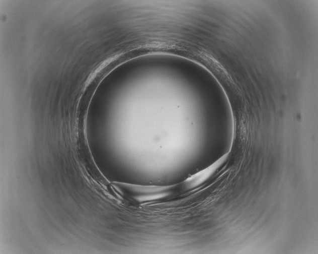 X0000068310484200604211208