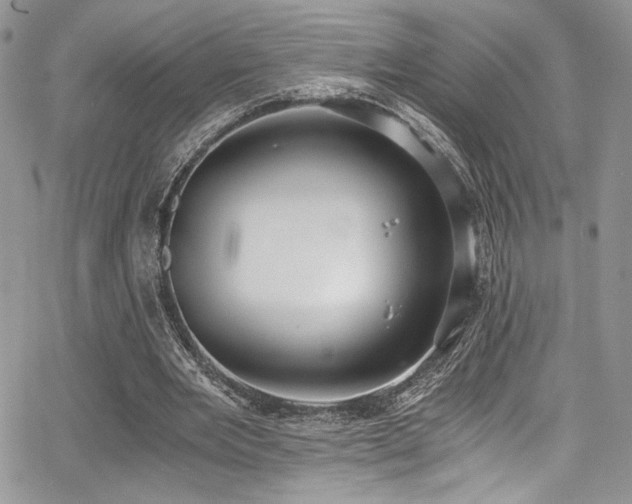 X0000068310485200604211208