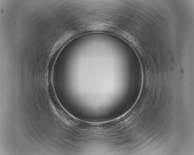 X0000068310486200604211208