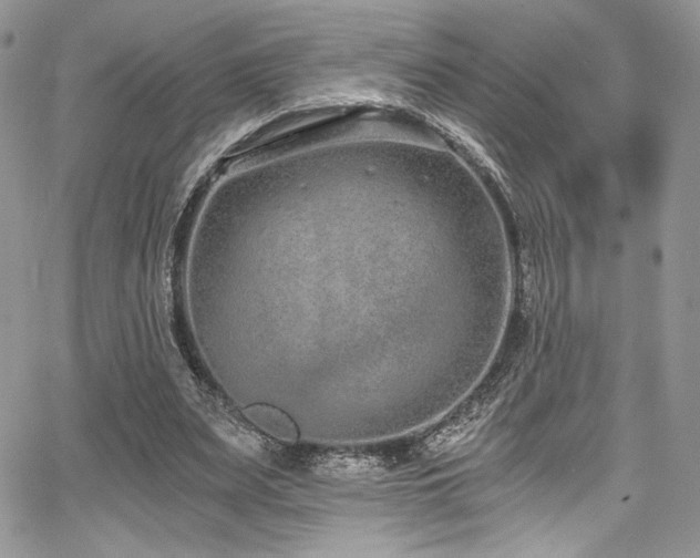 X0000068310487200604211208