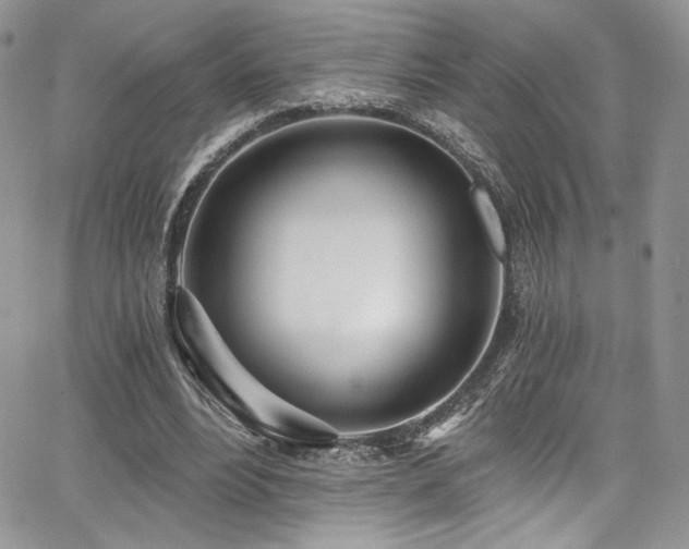 X0000068310488200604211208