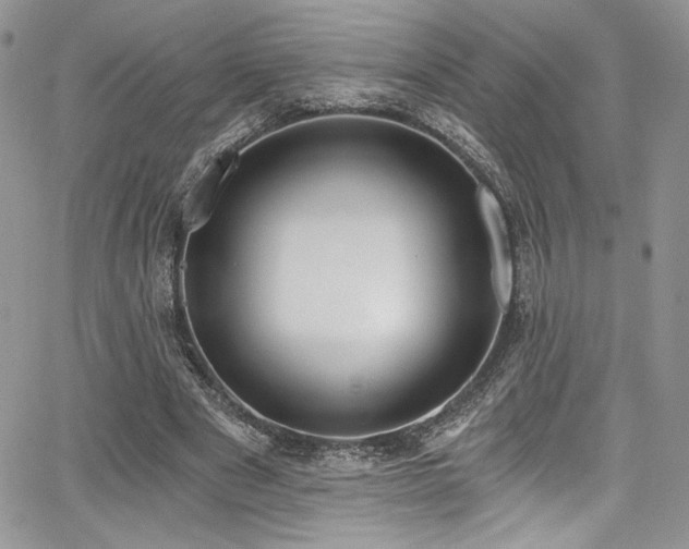 X0000068310489200604211208