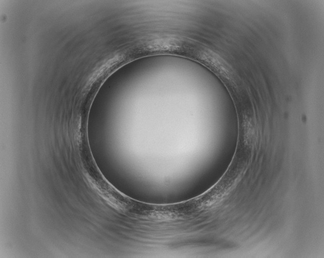 X0000068310490200604211208