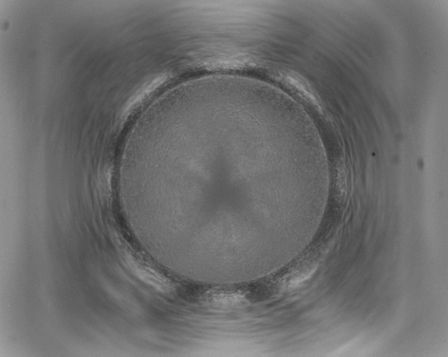 X0000068310491200604211208