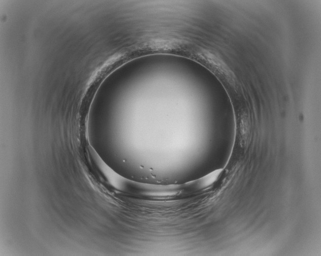 X0000068310492200604211208