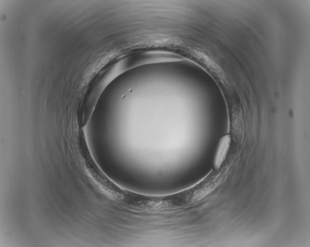 X0000068310493200604211208