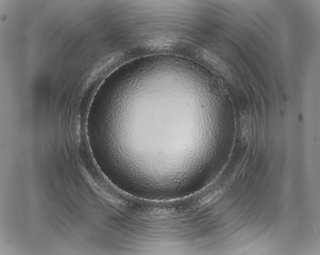 X0000068310494200604211208