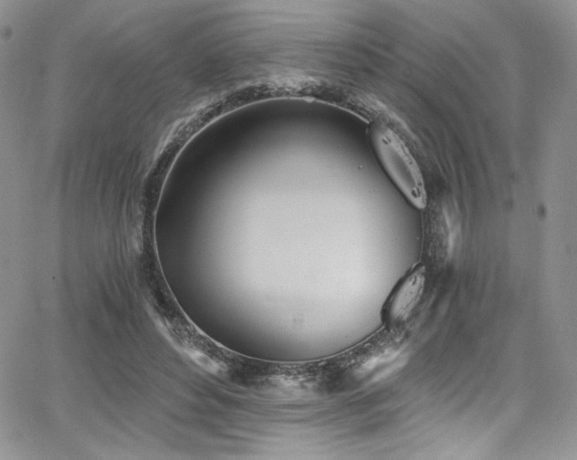 X0000068310496200604211208