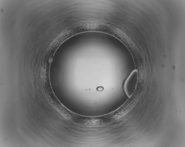 X0000068310497200604211208