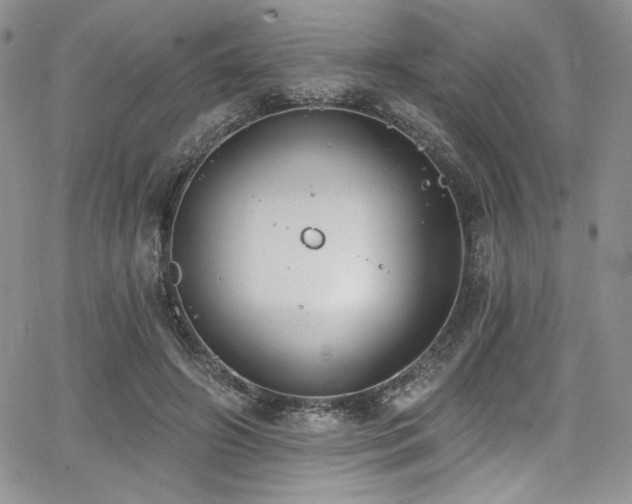 X0000068310498200604211208