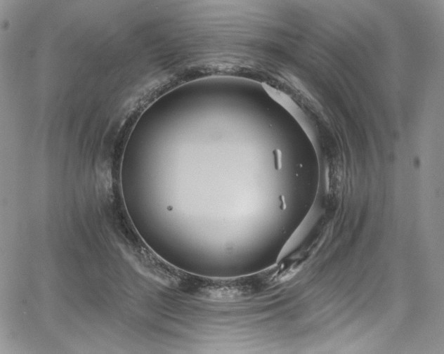 X0000068310500200604211208