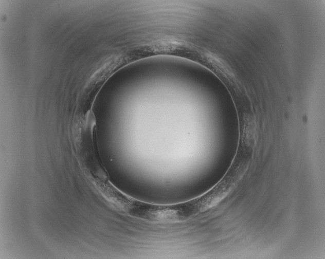 X0000068310501200604211208