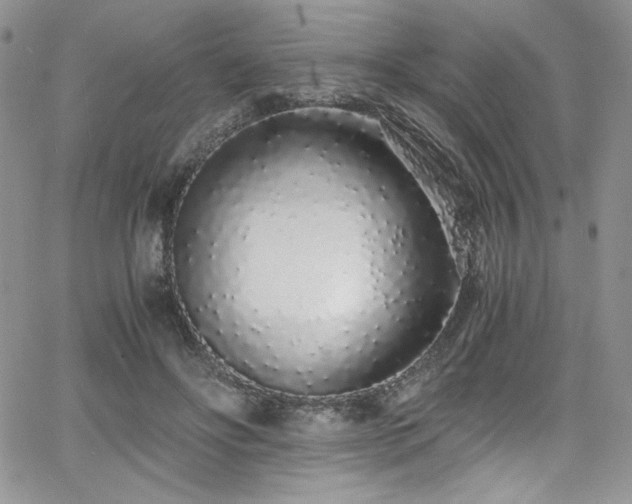 X0000068310502200604211208