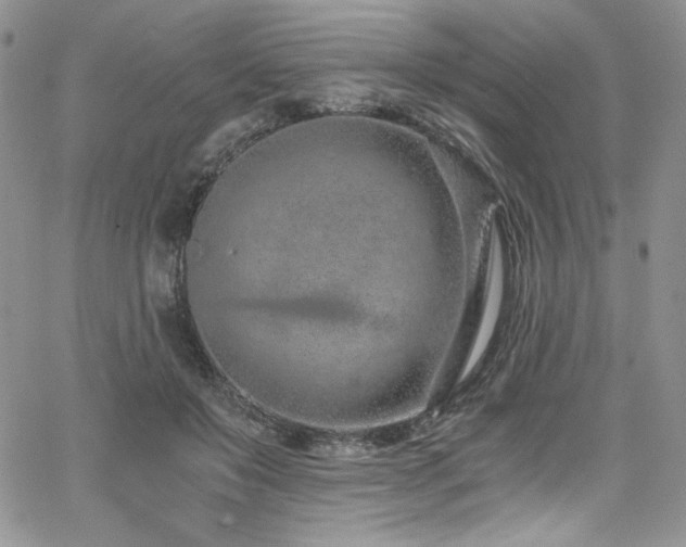 X0000068310503200604211208