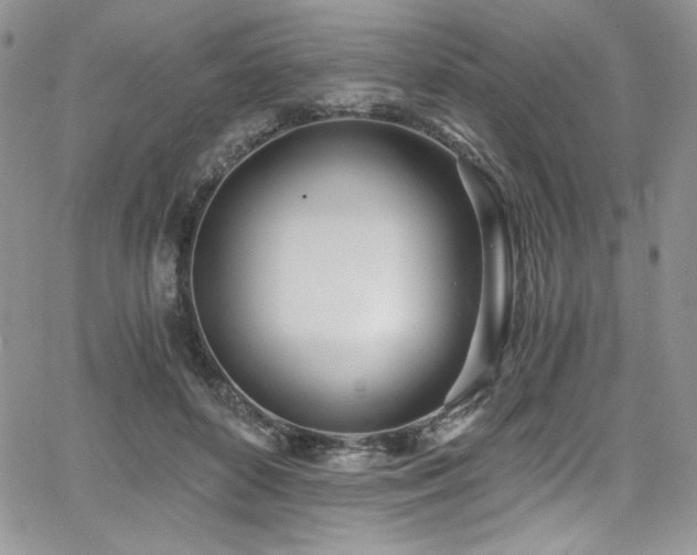 X0000068310504200604211208