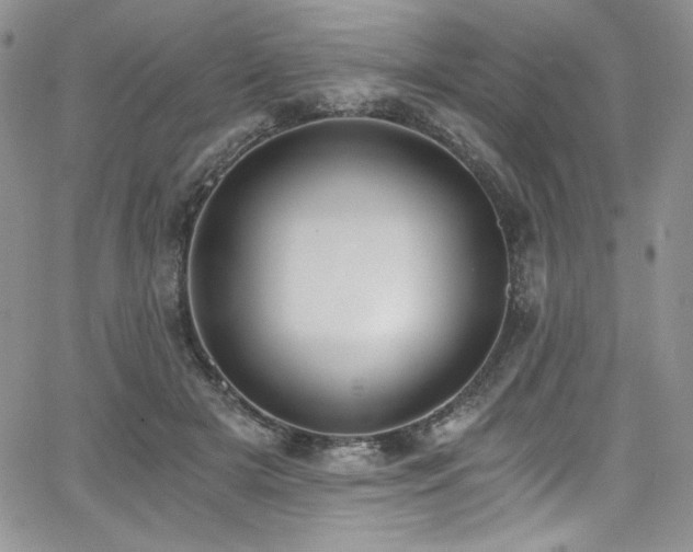 X0000068310505200604211207