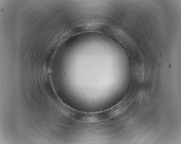 X0000068310506200604211207