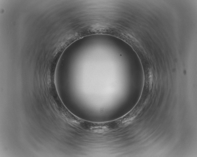 X0000068310508200604211207