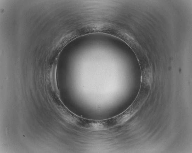 X0000068310509200604211207