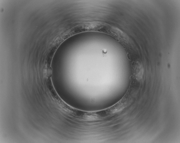 X0000068310510200604211207