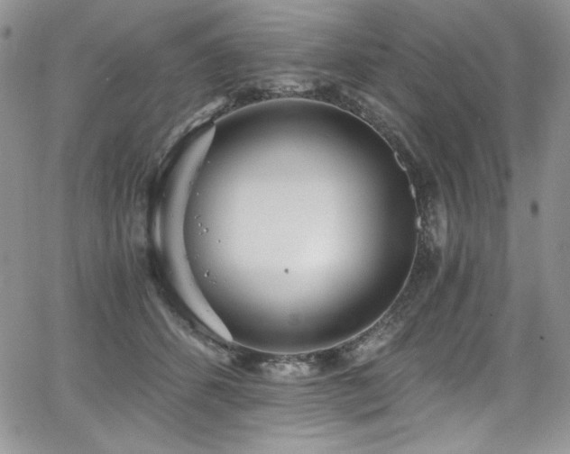 X0000068310512200604211207