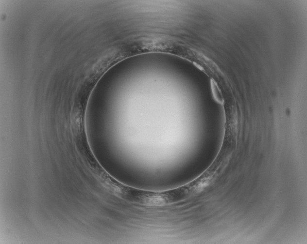 X0000068310513200604211207