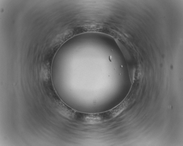 X0000068310515200604211207