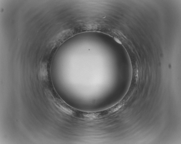 X0000068310516200604211207