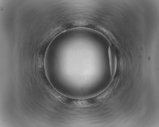 X0000068310517200604211207