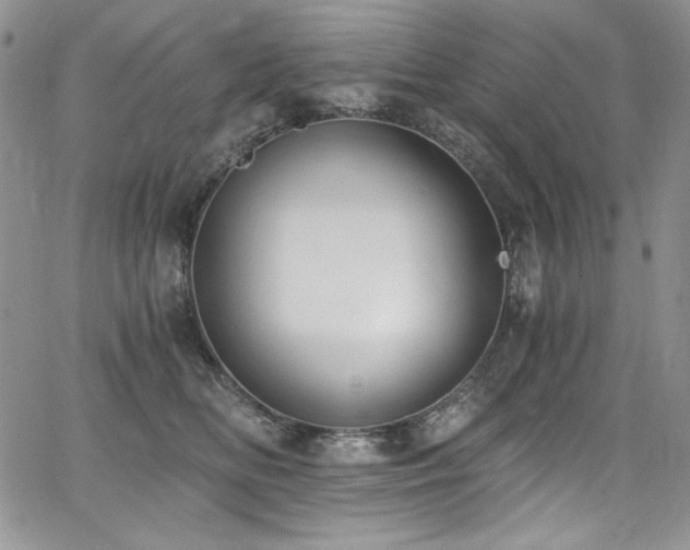 X0000068310518200604211207