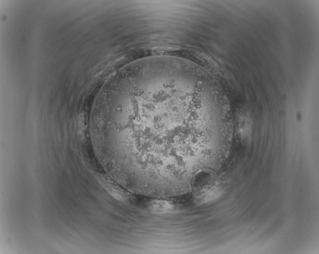 X0000068310519200604211207