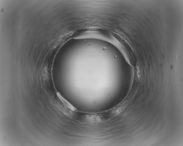 X0000068310520200604211207