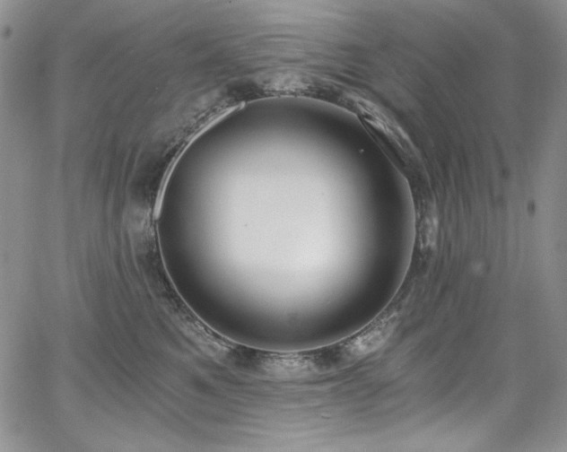 X0000068310521200604211207