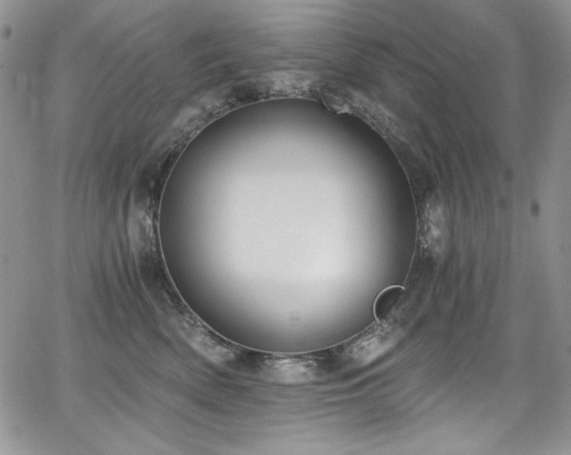 X0000068310522200604211207