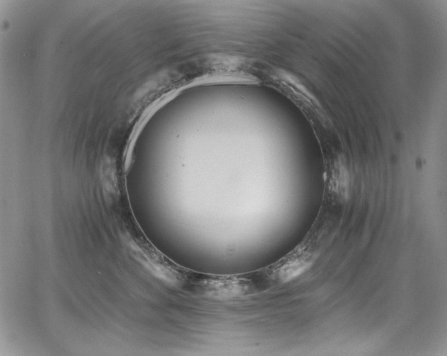 X0000068310524200604211207